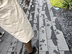 baimilier采集到07 正商·祯瑞上镜