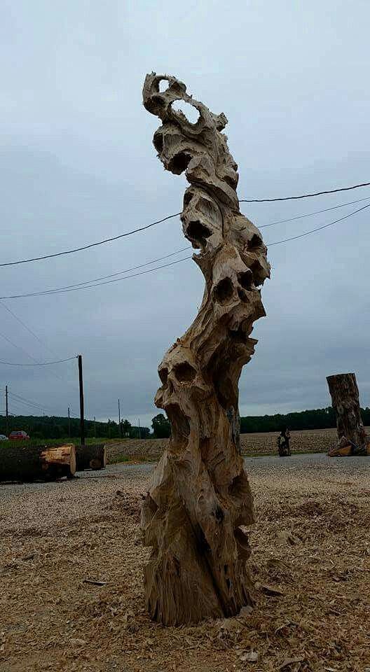 Driftwood skulls    ...
