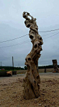 Driftwood skulls                                                                                                                                                     More