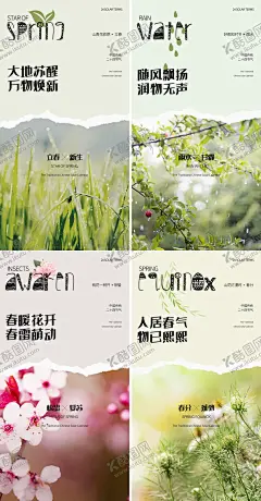 立春雨水系列海报 【酷图网】海报,二十四节气,立春,雨水,惊蛰,春分,创意,春天,桃花,草,下雨,