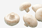 纯洁的白蘑菇实物图高清素材 清新趣味蘑菇 白色蘑菇食材 纯洁的白蘑菇 免抠png 设计图片 免费下载