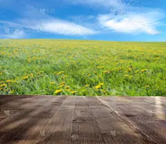 木头桌子和模糊的草地在背景。展示产品的空桌子。