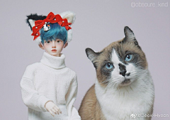 超白目喵也采集到BJD