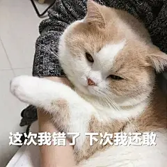 (3 封私信 / 3 条消息) 你有哪些压箱底的表情包？ - 知乎 : 睡不着 收藏癖给你们更新一批表情包凑100张 慢慢来表情包们大路的相册-表情包们影视表情包大路的相册-影…