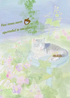 猫