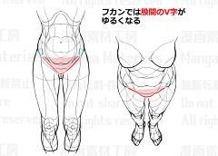 峰狂输出采集到人体原画