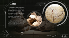 包包诶采集到展馆