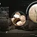 webp (5)