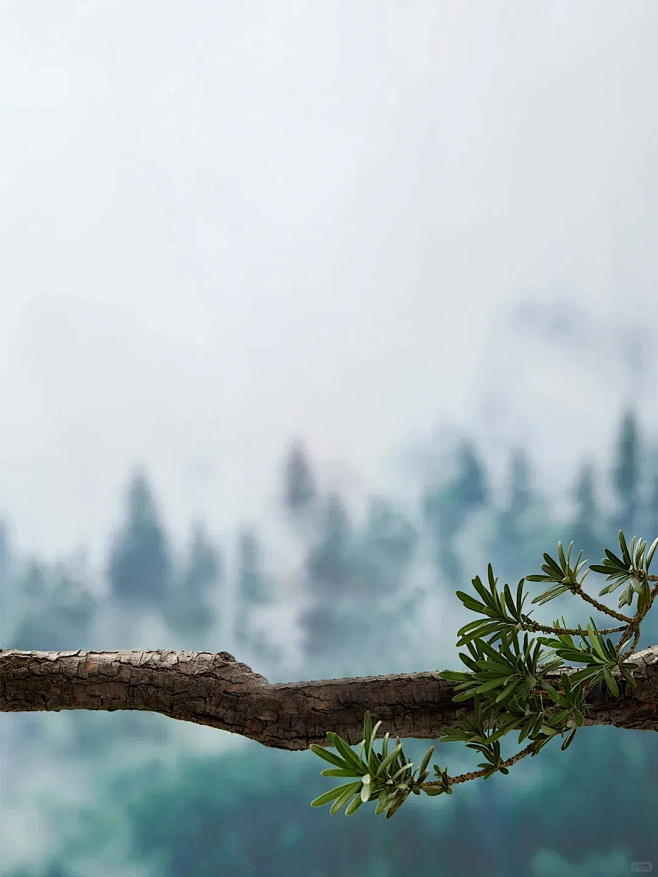 枯木树枝绿叶树叶远山背景