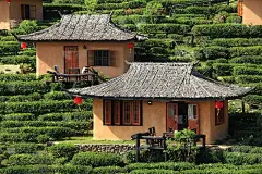 可爱的小屋