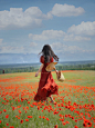 夏天一定要来新疆拍一次天山红花 - 小红书
