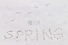 雪上题词春