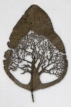 树木绘画系列图集丨油画水彩素描彩铅树木绘画