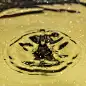 水,水滴,美,形状,湿,纯净,干净,特写,想法,白色