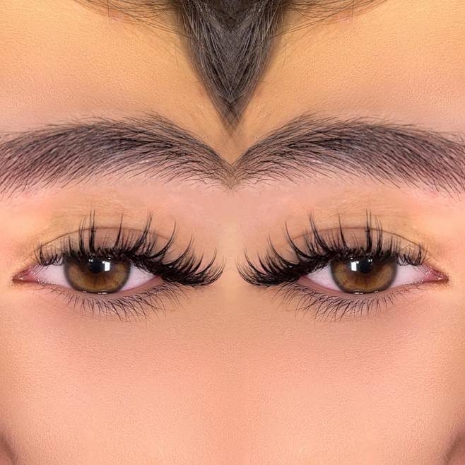 WISPY LASH ARTIST %7C LASH COURS(1)