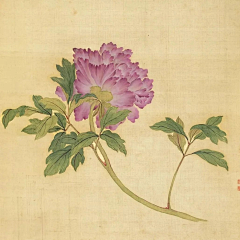 橘叁采集到白描