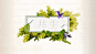 1513251394499503.gif