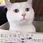 看起来像是在思考 实际上大脑一片空白呢