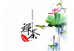 禅茶一味普洱茶图片