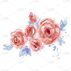 可爱的水彩手画粉红玫瑰