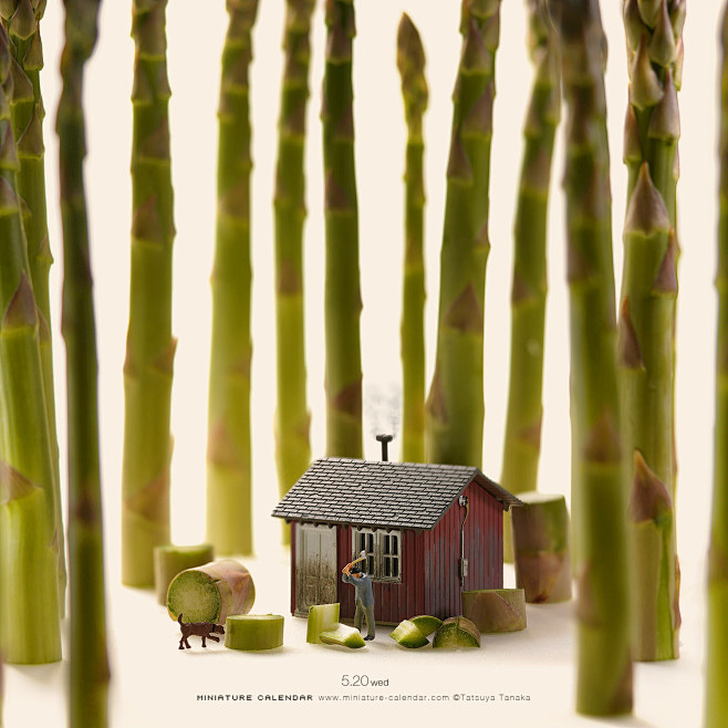 田中达也（TATSUYA TANAKA）