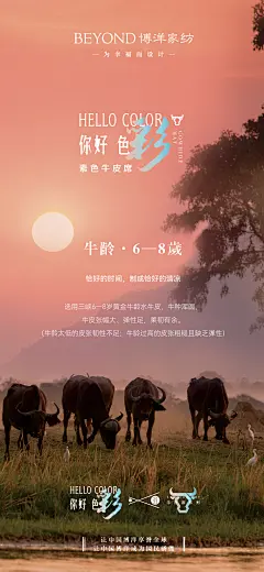 你好素色牛皮席