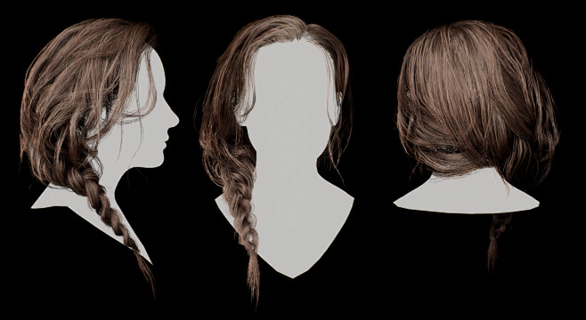 Hair Test - Braid, M...