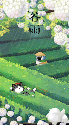 陈泽帆ValenZee采集到谷雨