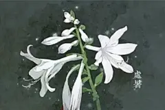 二十四节气对应的花朵 : 1、立春2月3-5日(阴历腊月十六日)：迎春花迎春花与梅花、水仙和山茶花统称为“雪中四友”，当迎春花开放的时候说明离春天也就不远了，这时候天气也渐渐回暖，所以十四节气对应的花...