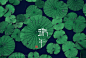 端午｜LOFTER