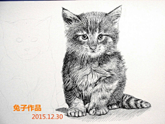 盼盼小熊猫啦啦啦采集到兔子凌风陶启全中性笔画作品