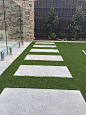Payneham Courtyard One : The Distinctive Gardens team were first introduced to this exciting project by Interior designer Jody O'Halloran from The Design Exchange. Working collaboratively with Jody and the client we