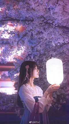 又到了拍樱花的季节，放送一波夜樱壁纸。
白天景区人太多了，晚上拍摄真是好清净 ​​​​