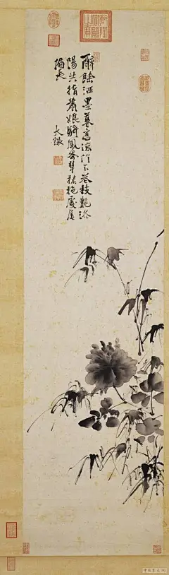明 徐渭 畫牡丹
徐渭（1521-1593），山陰（浙江紹興）人。字文長，號天池，晚號青藤老人。性好奇，善古文辭，書法行草尤妙，畫自成一家。

徐渭中年始學畫花卉，涉筆瀟灑，天趣燦發。本幅以水墨畫寫意牡丹竹枝，作風豪快。花瓣處可明顯看出是以飽含水分的淡墨，筆尖端蘸濃墨點畫而成，刻意利用水墨暈染的漸層變化。竹枝竹葉以帶行草性質的書法線條寫出，全畫用筆勁利迅捷，是酣暢縱恣的率意之作。