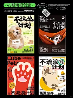 不流浪的宠物海报他来啦_1_付顽童设计_来自小红书网页版