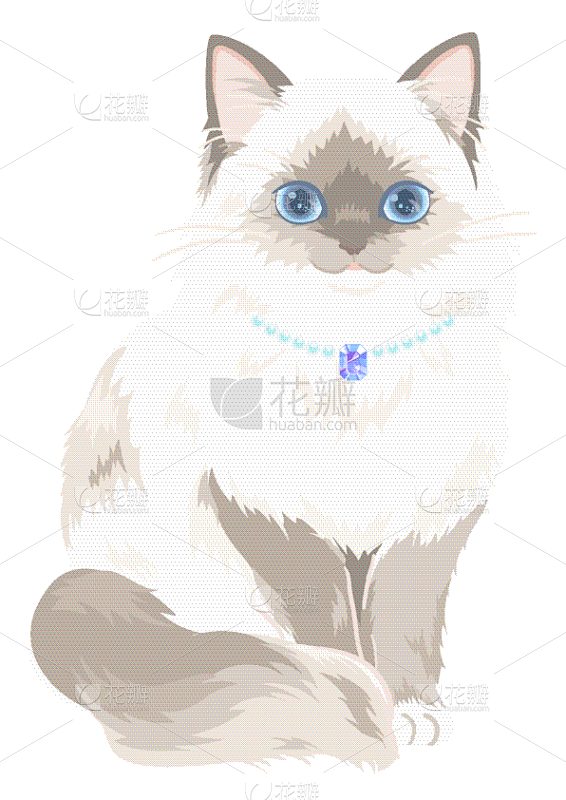 可爱的,猫,矢量,绘画插图,毛绒绒,白色...