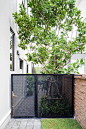 สวนน้อยแต่สุขมาก -The Charcoal pattern | Ginggaanbai | Modern Minimalist Garden : “พื้นที่รอบบ้านเหลือน้อยจัง แต่ก็อยากมีพื้นที่สำหรับกิจกรรมในสวนด้วย จะเป็นไปได้มั้ยนะ” โจทย์และคำถามที่เข้ามาท้าทาย กิ่งก้านใบ อีกเคสกับพื้นที่หน้าบ้านกว้าง 3