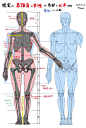 图片-006YezONgy1gvzzkxvmbmj30u0100wka14.jpg