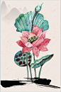 荷花