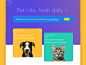 Pet Site UI