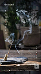 【知识星球：地产重案】龙抬头