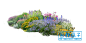 PS051公园花园庭院绿化花境植物组团花镜组合PSD分层素材-淘宝网