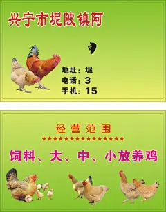 养鸡厂,鸡,,养鸡名片,,鸡名片,cdr,绿色,精品名片卡,精品模板,模板素材,网,模板网站,模板下载编号1663702@北坤人素材