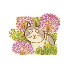Dream9527采集到你猜你猜你猜猜