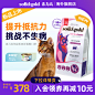 SolidGold海外旗舰店官网 - 天猫国际