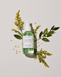 Herbivore | Slate Studios