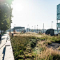 Kempenstraat, Antwerp by OMGEVING : A green edge along the docks Hospital Network Antwerp (ZNA) is busy building a new hospital on the plot between Kempenstraat and Noorderlaan. ZNA Cadix will be a fully-fledged hospital flanked by two new residential tow
