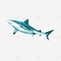 游动鲨鱼高清素材 网页 页面网页 平面电商 创意素材 png素材