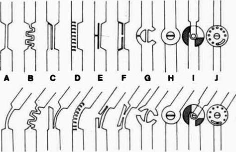 Fig. 1. Ten types of...