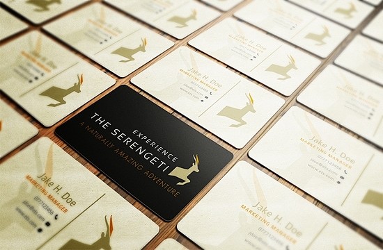 Business Cards Desig...